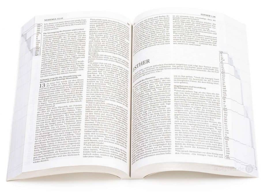 Bibel3